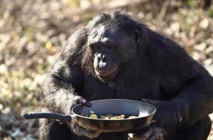 Ape Makes Dinner