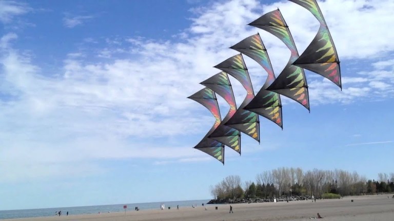 Kite Flying