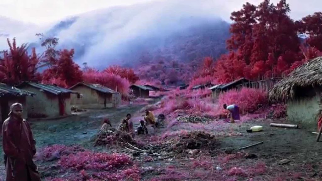 Infra Vibrant Infrared Photos Of Conflict In The Congo