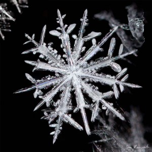 Snowflake Freezing Macro