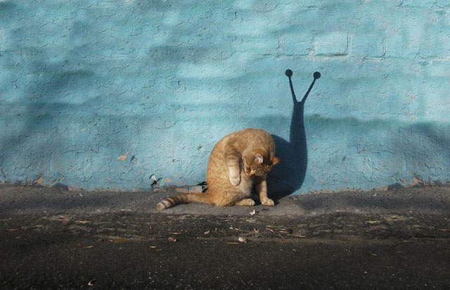 Street art by Alexey Menschikov