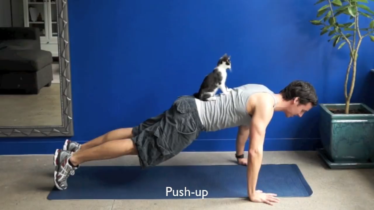 Cat Push-Up
