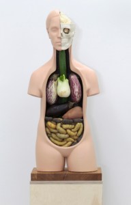 Veggieanatomy by Klaus Weber