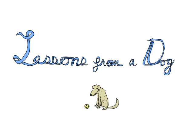 Lessons From a Dog