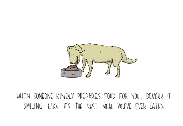 Lessons From a Dog