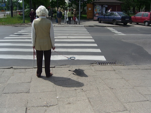 Invisible Dogs in Poland