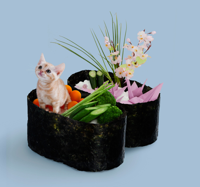 Sushi Cat Chibi