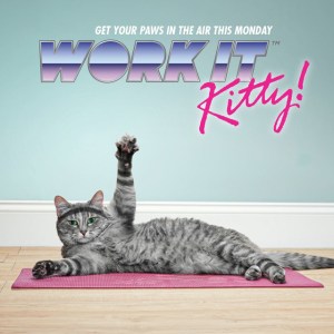 Work It Kitty