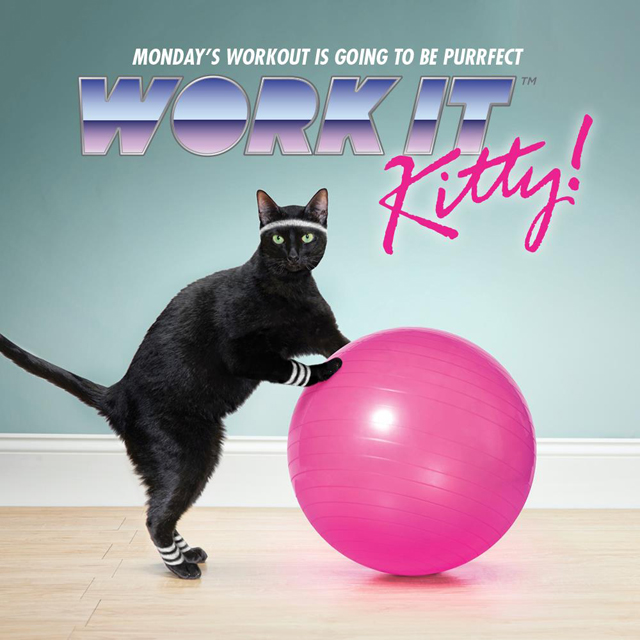 Work It Kitty