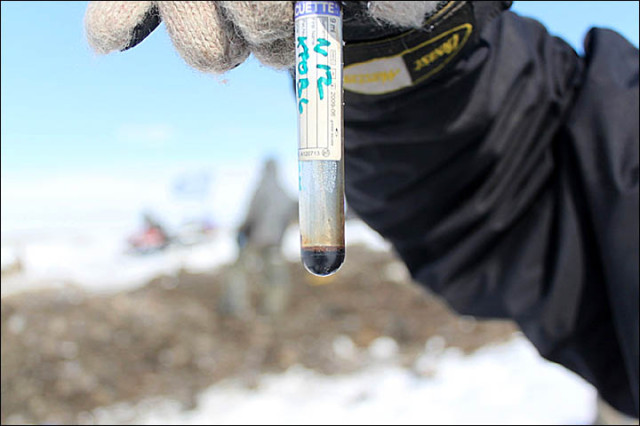 Scientists recover woolly mammoth blood