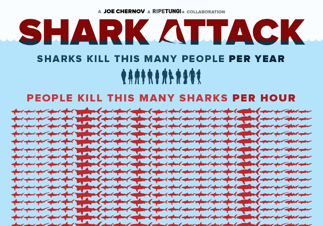 Shark Attack, Infographic Shows the Staggering Number of Sharks Killed