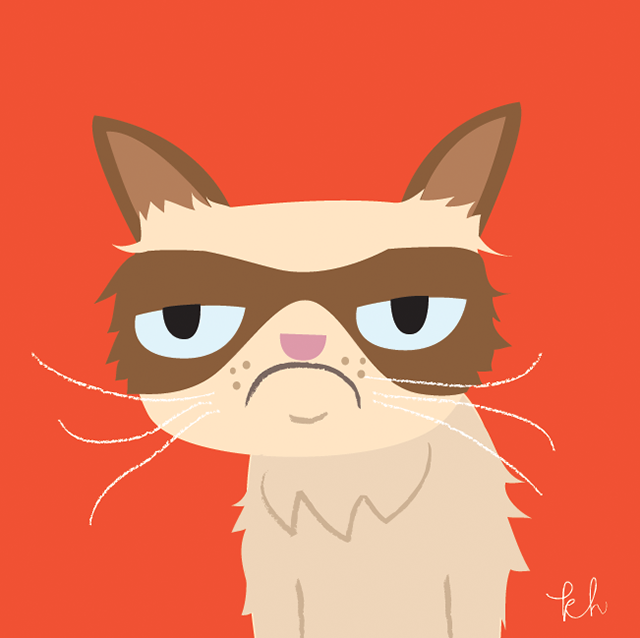 Grumpy Cat Night Light and Mouse Pad