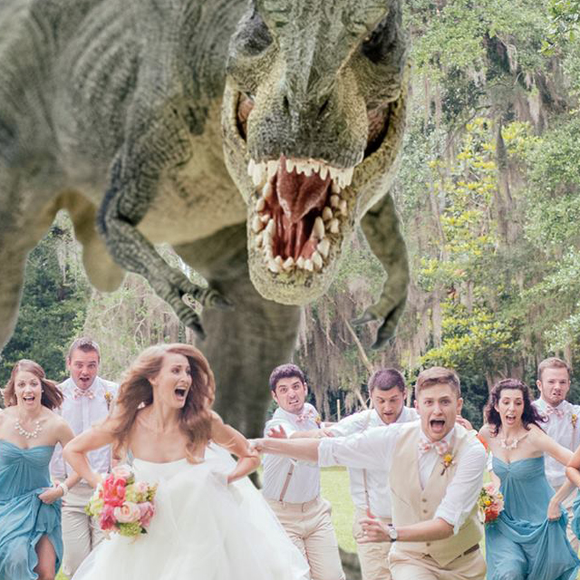 Dino Wedding