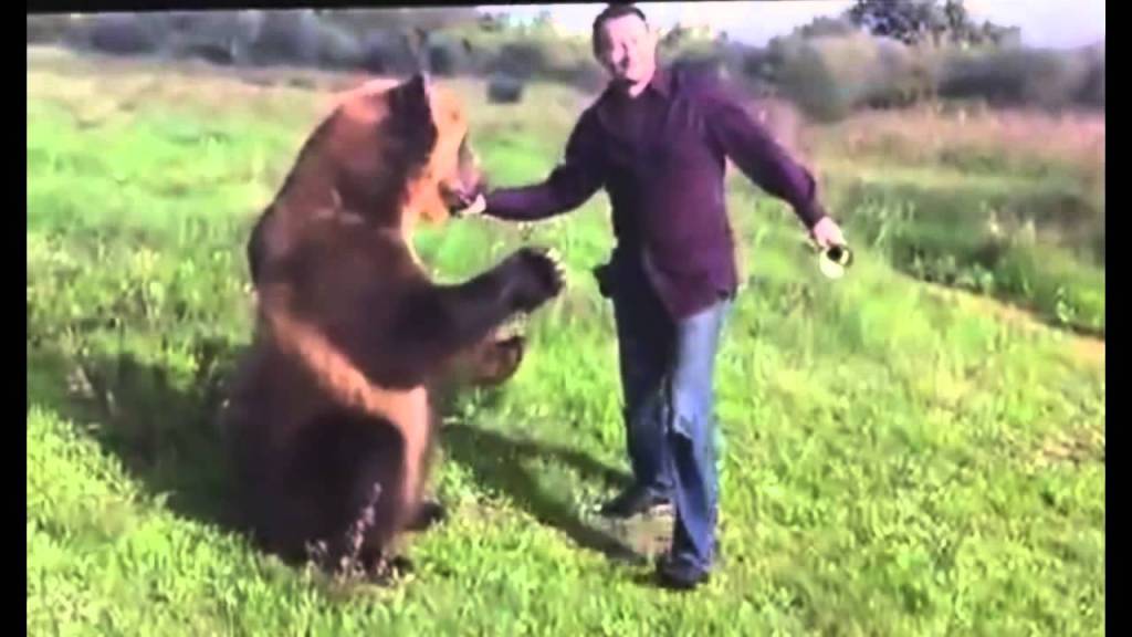 Well-Trained Bear Plays the Trumpet, Dances, and Hula Hoops