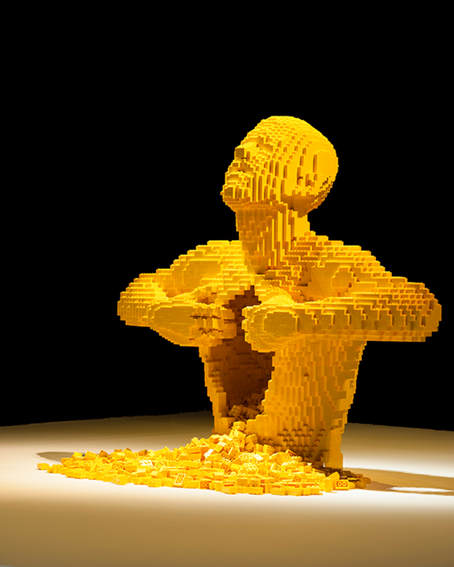 Art of the Brick