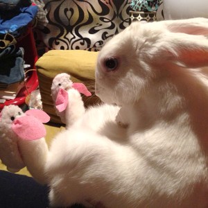 Bunny In Bunny Slippers