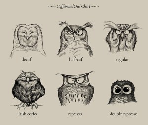 Caffeinated Owls