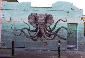 Elephant Octopus
