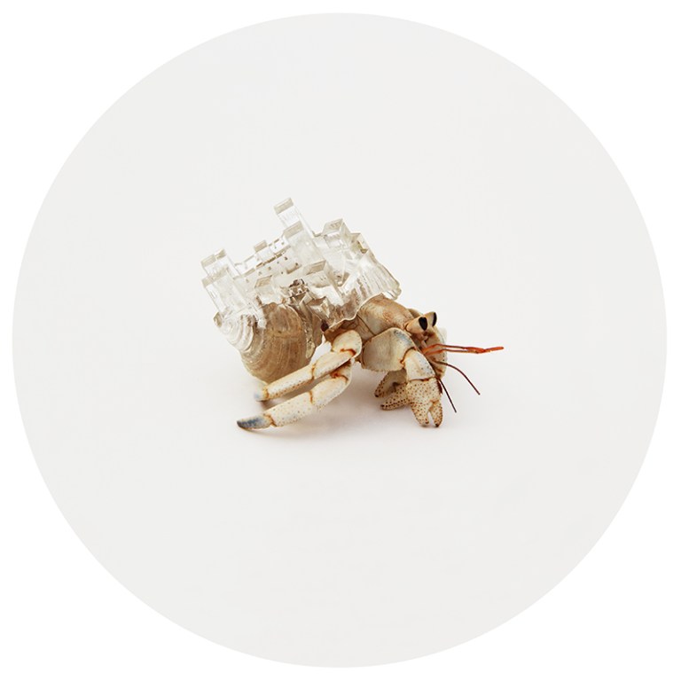 3D Printed Hermit Crab Shell