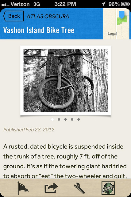 Vashon Island Bicycle Tree