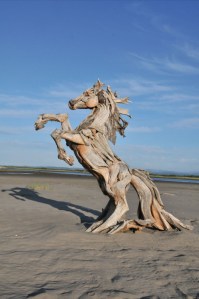 Driftwood sculptures by Jeffro Uitto