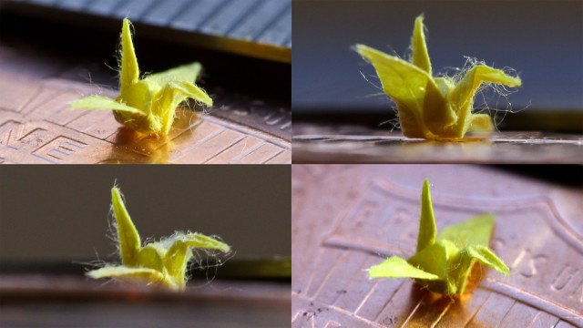 Tiny paper crane by Joaquin Baldwin