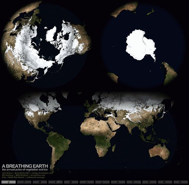 A Breathing Earth, Animated GIFs Show the Planet's Seasonal Changes