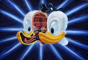 Cross Section of Donald's Head