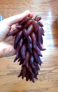 Freaky Grapes