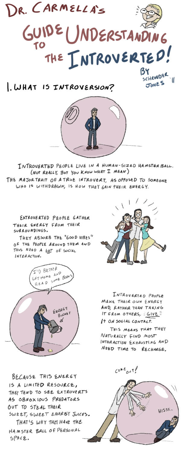 How To Live With Introverts