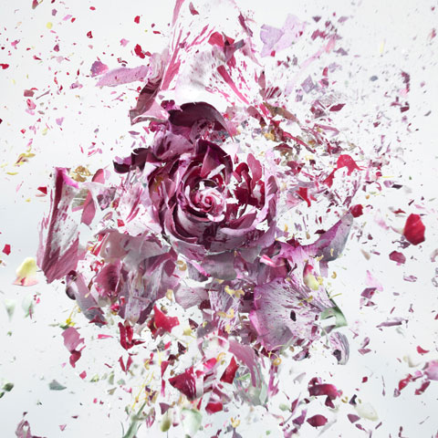 Rapid Bloom by Martin Klimas