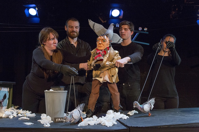 The Pigeoning, Dark Comedy Puppet Play About a Man Driven Mad by Pigeons