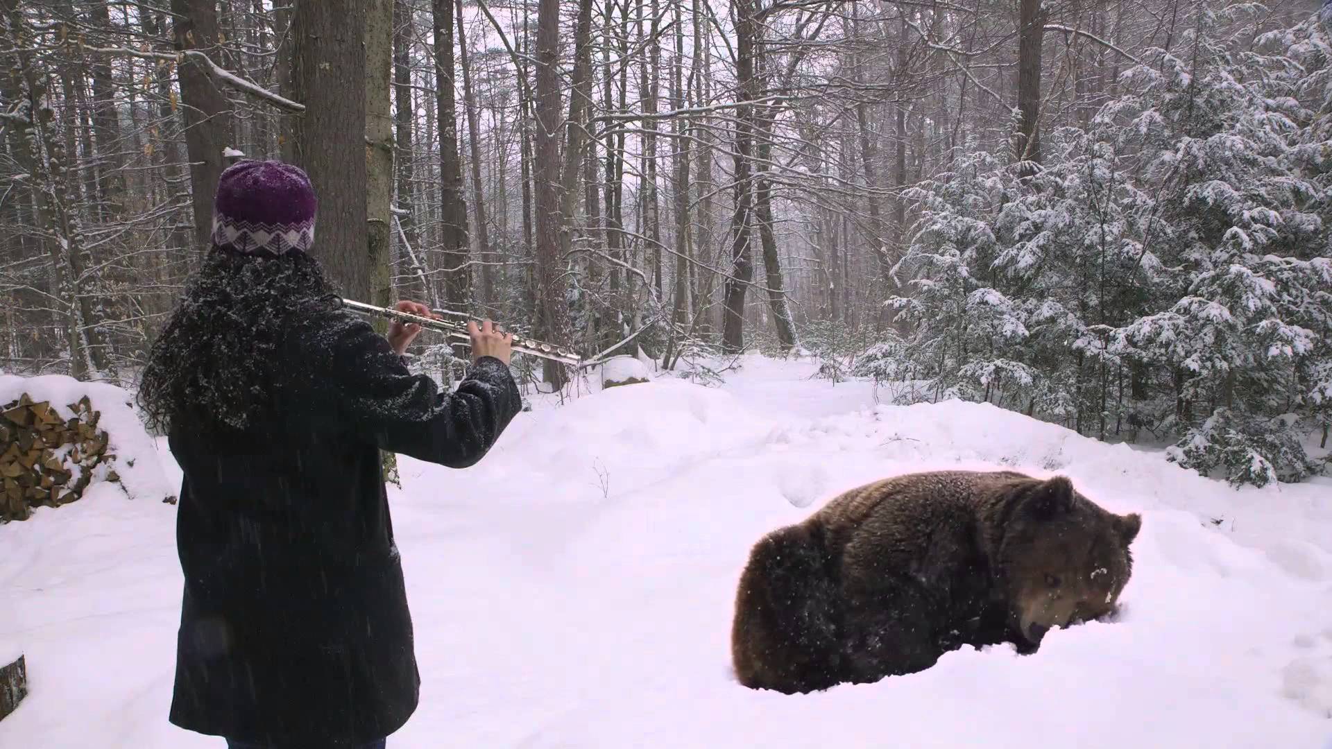 Woman Serenades a Bear to Sleep With a Flute