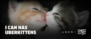 Uber Kittens