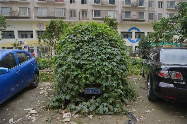 Chinese zombie car