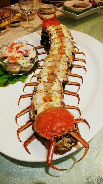 Crab Centipede