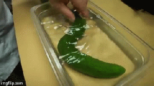 Cucumber Snake