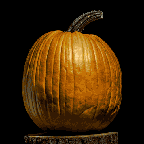 Ford Pumpkin
