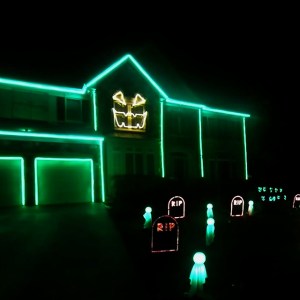 What The Fox Say Halloween Light Show