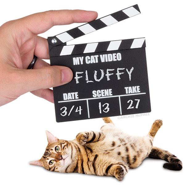Cat Video Clapperboard