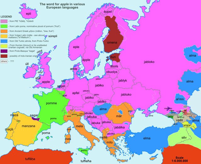 European Etymology