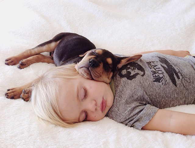 Toddler Napping With Puppy