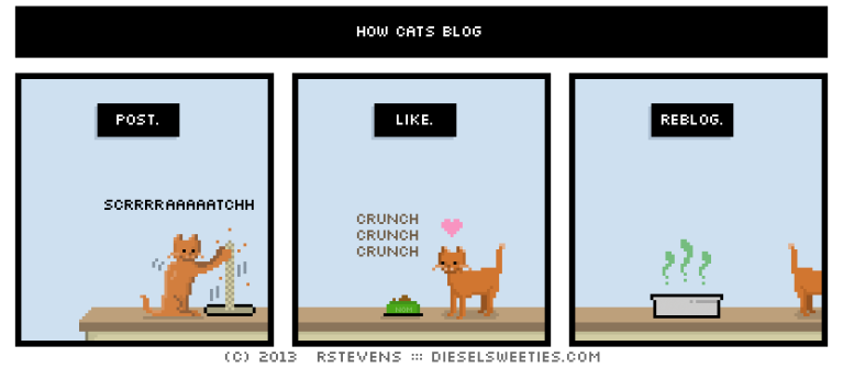 How Cats Blog