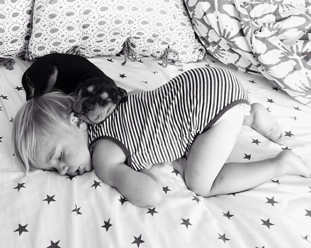 Toddler Napping With Puppy