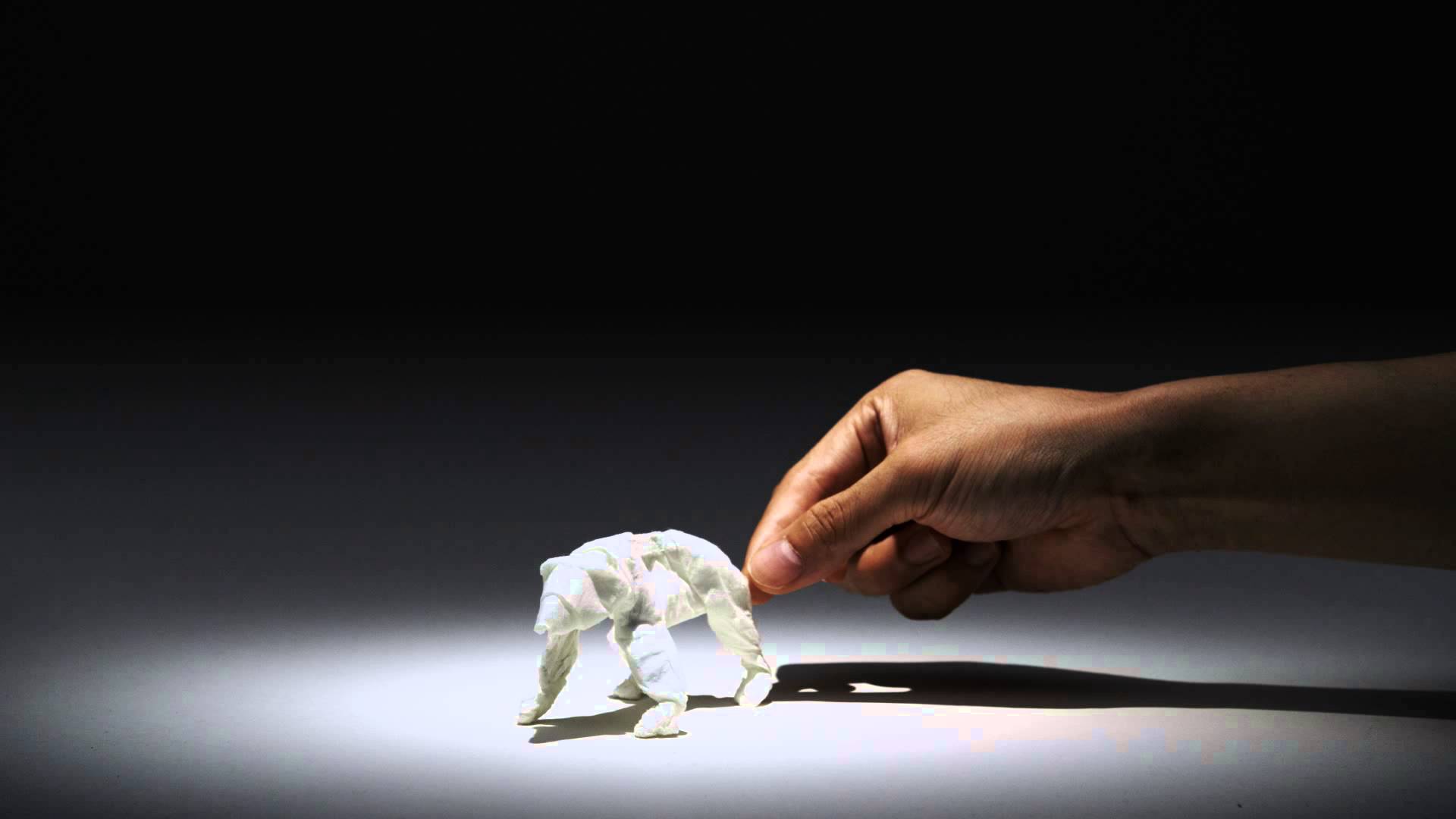 Tissue Paper Animals Brought to Life in Stop Motion Animation