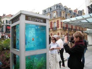Phone Booth Fish Aquariums