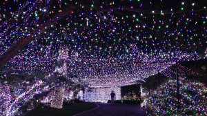 The World Record for the Most Lights on a House