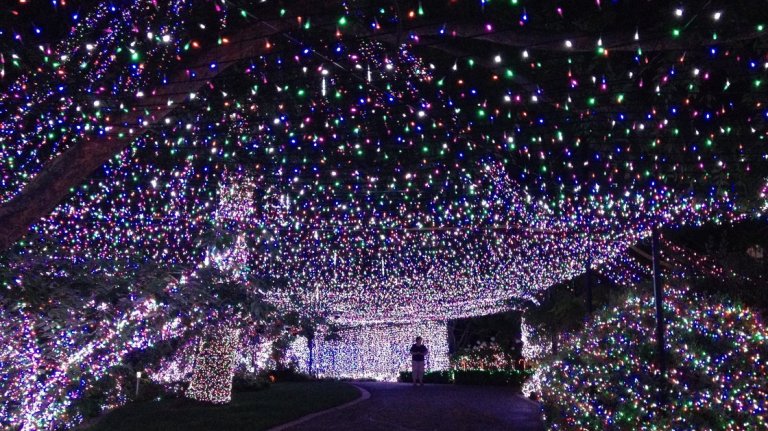 The World Record for the Most Lights on a House