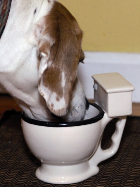 Dog and Toilet Mug