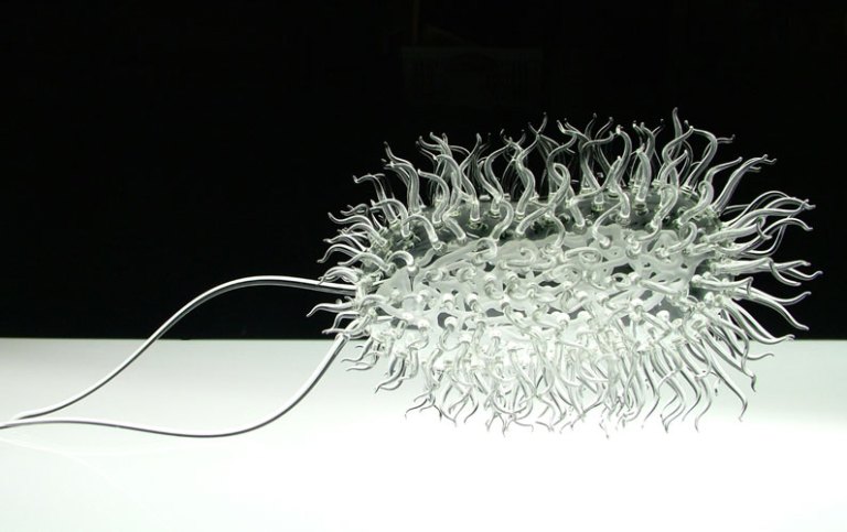 Glass Microbiology by Luke Jerram